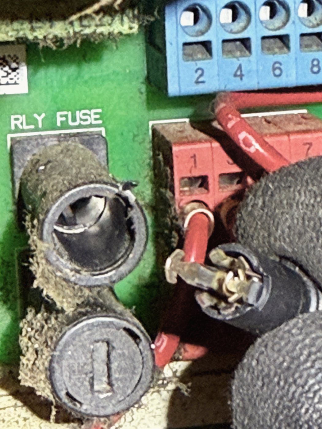Working back along the control circuit — a fuse pulled from the relay board holder to be checked