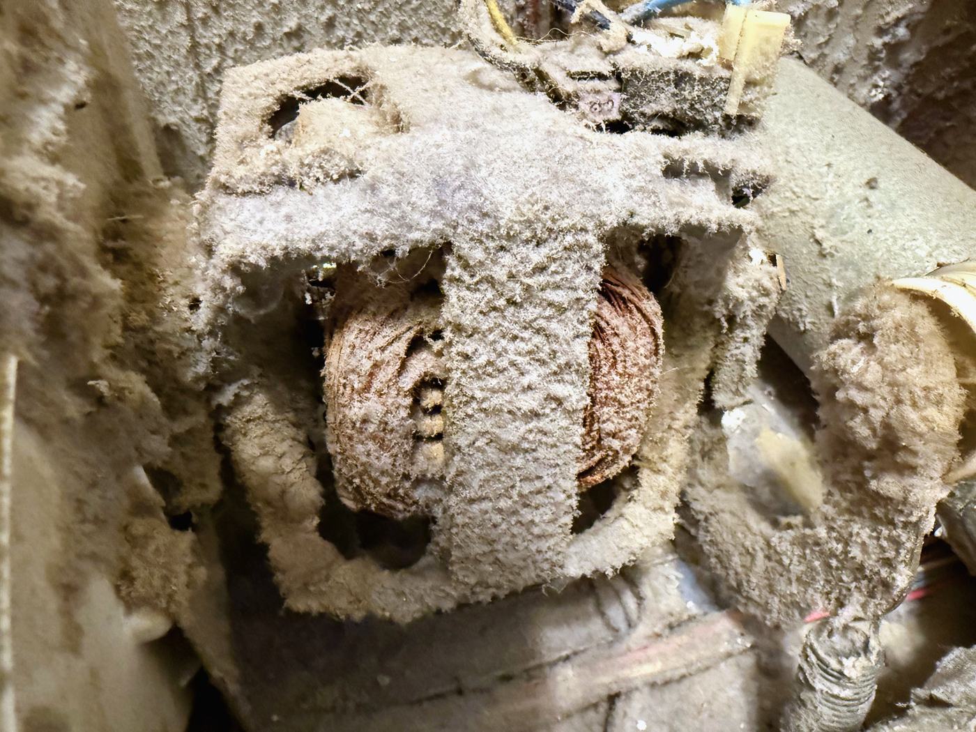 The motor windings under a coat of lint. This part was working perfectly, and that is the point