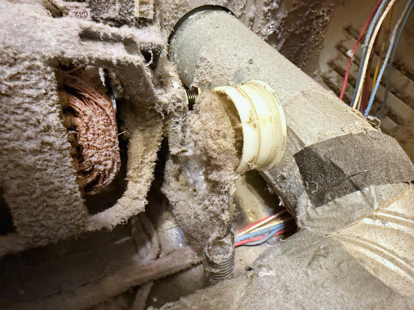 The blower housing, the motor and the duct connection — the whole airflow path, furred over