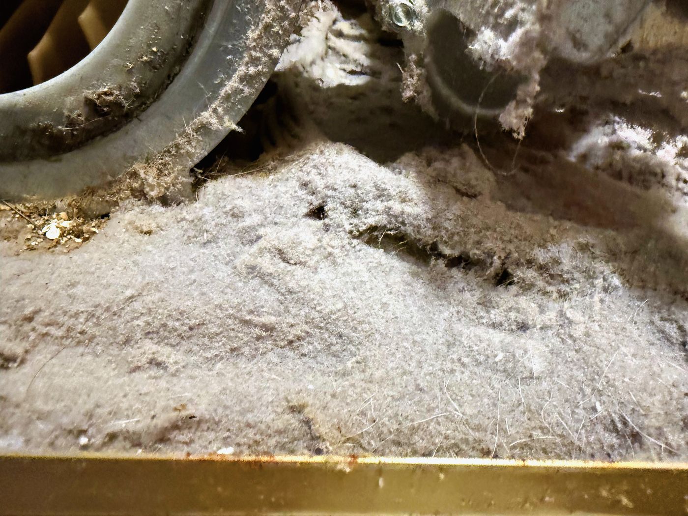 Inside the cabinet: lint that has stopped being fluff and turned into felt